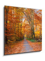 Obraz 1D - 50 x 50 cm F_F44662629 - Pathway in the autumn forest