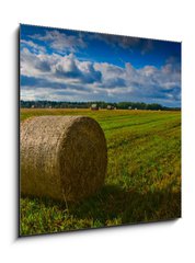 Obraz 1D - 50 x 50 cm F_F44784749 - Bale of Straw - Bale slámy