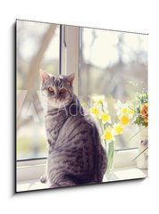 Obraz 1D - 50 x 50 cm F_F44792547 - cat sitting on the windowsill in the flowers on the background o - koka sed na parapetu v kvtech na pozad o