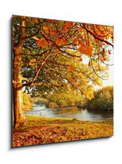 Obraz 1D - 50 x 50 cm F_F45108931 - Beautiful Autumn in the park - Krsn podzim v parku