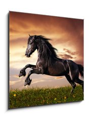 Sklenn obraz 1D - 50 x 50 cm F_F45203930 - Black Friesian horse gallop - ern frsk k cval