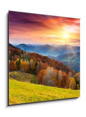 Obraz 1D - 50 x 50 cm F_F45387247 - autumn - podzim