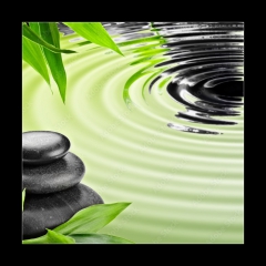 Obraz 1D - 50 x 50 cm F_F46168041 - Growth