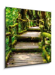 Obraz 1D - 50 x 50 cm F_F46782463 - Wood walkway - Dřevěná chodník