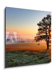 Obraz   Alone tree on meadow at sunset with sun and mist, 50 x 50 cm
