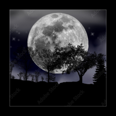 Sklenn obraz 1D - 50 x 50 cm F_F492013525 - moon, tree and starry sky