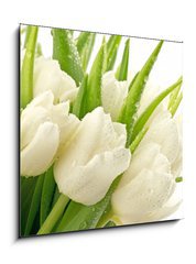 Obraz   Tulipany, 50 x 50 cm