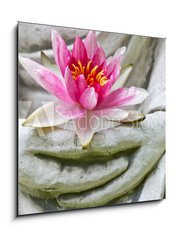 Sklenn obraz 1D - 50 x 50 cm F_F49558982 - Buddha hands holding flower, close up
