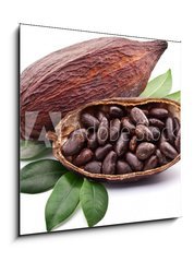 Skleněný obraz 1D - 50 x 50 cm F_F50690760 - Cocoa pod - Kakaový lusek