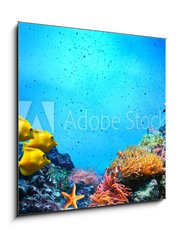 Sklenn obraz 1D - 50 x 50 cm F_F52173106 - Underwater scene. Coral reef, fish groups in clear ocean water