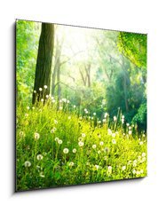 Obraz 1D - 50 x 50 cm F_F52445445 - Spring Nature. Beautiful Landscape. Green Grass and Trees