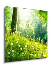 Obraz 1D - 50 x 50 cm F_F52445445 - Spring Nature. Beautiful Landscape. Green Grass and Trees - Jarní příroda. Krásná krajina. Zelená tráva a stromy