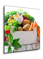 Sklenn obraz 1D - 50 x 50 cm F_F52503006 - Fresh vegetable - erstv zelenina