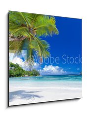 Obraz   cocotier pench sur plage des Seychelles, 50 x 50 cm