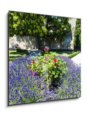 Obraz 1D - 50 x 50 cm F_F53384066 - garden in Les Baux de-Provence, Provence, France