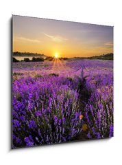 Obraz 1D - 50 x 50 cm F_F53493783 - Sunset over lavender field - Zpad slunce nad levandulov pole