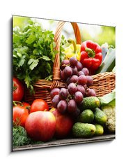 Obraz   Fresh organic vegetables in wicker basket in the garden, 50 x 50 cm