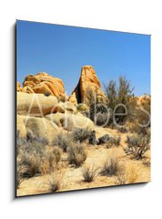 Obraz 1D - 50 x 50 cm F_F54332730 - Joshua Tree
