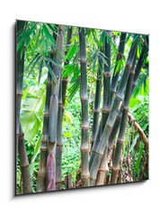 Obraz 1D - 50 x 50 cm F_F54731714 - Bamboo forest - Bambusov les