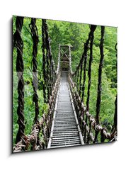 Obraz 1D - 50 x 50 cm F_F55730314 - Pont de lianes Kazura-bashi Oku Iya, Shikoku, Japon