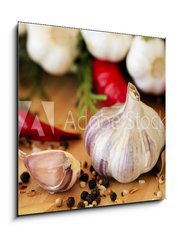 Obraz 1D - 50 x 50 cm F_F55800520 - Garlic and spices - Česnek a koření
