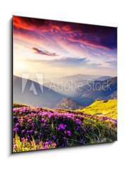 Obraz 1D - 50 x 50 cm F_F56511624 - nature - Příroda