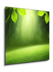 Obraz 1D - 50 x 50 cm F_F57381095 - Spring forest  background