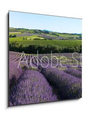 Sklenn obraz 1D - 50 x 50 cm F_F5757066 - panoramique - Champ de lavande en Provence