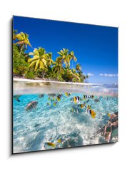 Obraz 1D - 50 x 50 cm F_F57894444 - Tropical island - Tropick ostrov