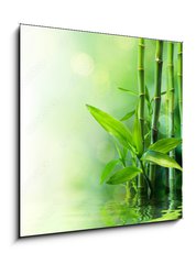 Obraz 1D - 50 x 50 cm F_F58926337 - bamboo stalks on water - blurs - stonky bambusu na vod