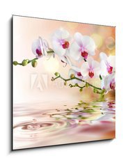 Obraz 1D - 50 x 50 cm F_F59169031 - white orchids on water with drop