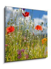 Sklenn obraz 1D - 50 x 50 cm F_F5928687 - Colorful wildflowers - Barevn kvtiny