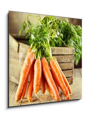 Obraz 1D - 50 x 50 cm F_F59972798 - fresh carrots - erstvou mrkev