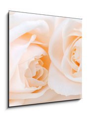 Sklenn obraz 1D - 50 x 50 cm F_F6046566 - Two delicate high key beige roses macro floral background
