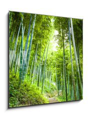 Obraz   Bamboo forest and walkway, 50 x 50 cm