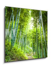 Obraz 1D - 50 x 50 cm F_F60510509 - Bamboo forest and walkway