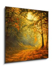 Sklenn obraz 1D - 50 x 50 cm F_F60738927 - Autumn in the forest