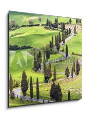 Obraz 1D - 50 x 50 cm F_F61217216 - Road with curves and cypresses in Tuscany, Italy