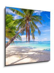 Sklenn obraz 1D - 50 x 50 cm F_F61258659 - Coconut Palm tree on the white sandy beach - Kokosov palma na bl psen pli