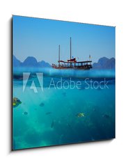 Obraz 1D - 50 x 50 cm F_F61530443 - Tropical underwater shot splitted with ship and sky