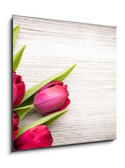 Skleněný obraz 1D - 50 x 50 cm F_F62462522 - Tulip. - Tulipán.