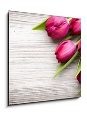 Obraz   Tulip., 50 x 50 cm