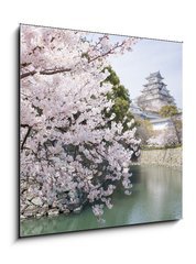 Obraz 1D - 50 x 50 cm F_F62623940 - Japanese cherry blossoms and castle in spring