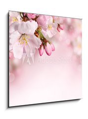 Obraz 1D - 50 x 50 cm F_F62918390 - Spring flowers background with pink blossom