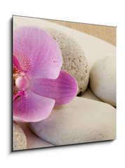 Obraz   Orchidee mit Kieseln, 50 x 50 cm