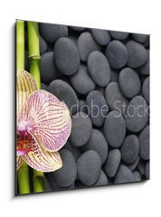 Skleněný obraz 1D - 50 x 50 cm F_F63600469 - Gorgeous orchid and thin bamboo grove on pebbles - Nádherná orchidej a tenká bambusová háj na oblázcích