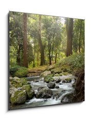 Obraz 1D - 50 x 50 cm F_F64308418 - forest waterfall