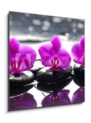 Obraz   Three orchid flower and stones with reflection in water drops, 50 x 50 cm