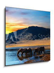 Sklenn obraz 1D - 50 x 50 cm F_F6438532 - Herd of horses in mongolian wilderness