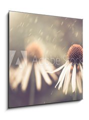 Obraz 1D - 50 x 50 cm F_F64765134 - summer flower under rain